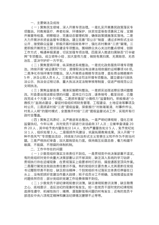 乡镇整治群众身边不正之风工作总结报告.docx