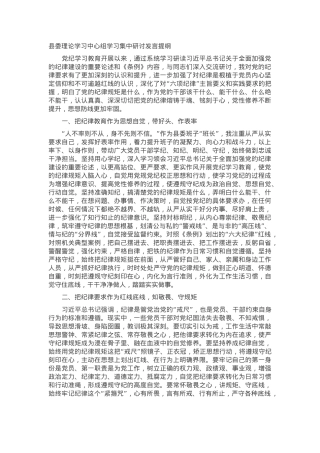 县委理论学习中心组学习集中研讨发言提纲.docx