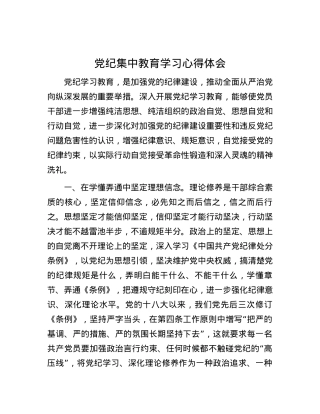 党纪集中教育学习心得体会.docx