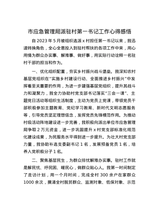 市应急管理局派驻村第一书记工作心得感悟.docx