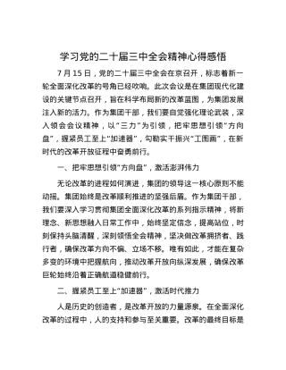 学习党的二十届三中全会精神心得感悟.docx