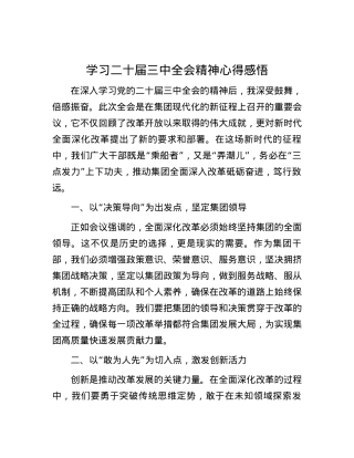 学习二十届三中全会精神心得感悟.docx