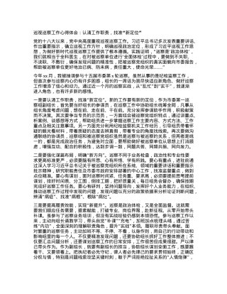 巡视巡察工作心得体会：认清工作职责，找准“新定位”.docx