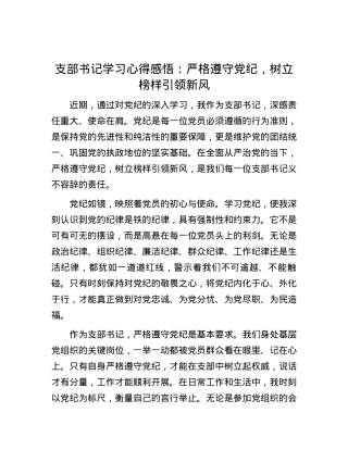 支部书记学习心得感悟：严格遵守党纪，树立榜样引领新风.docx