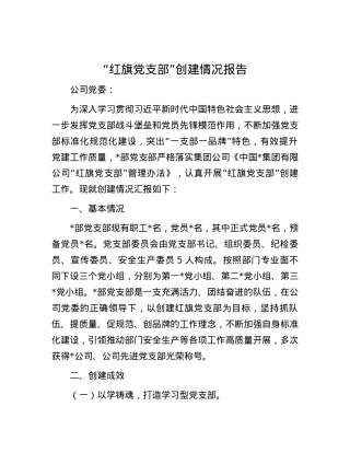 “红旗党支部”创建情况报告.docx