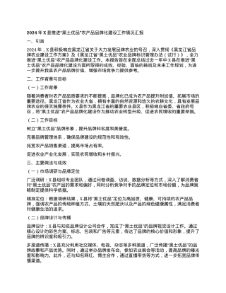 2024年X县推进“黑土优品”农产品品牌化建设工作情况汇报.docx