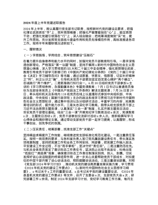2024年度上半年党建述职报告.docx