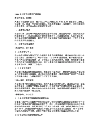 2024年挂职工作情况汇报材料.docx