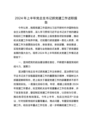 2024年上半年党总支书记抓党建工作述职报告.docx