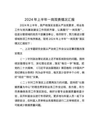 2024年上半年一岗双责情况汇报.docx
