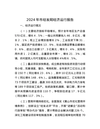 2024年市经发局经济运行报告.docx