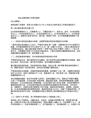 XXX巡察党建工作情况报告.docx