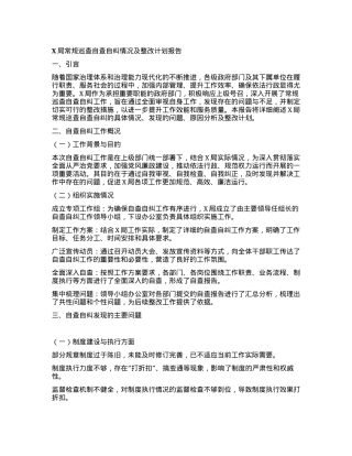 X局常规巡查自查自纠情况及整改计划报告.docx