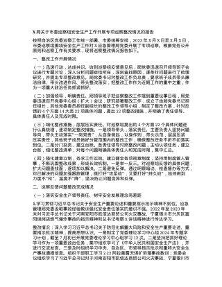 X局关于市委巡察组安全生产工作开展专项巡察整改情况的报告.docx