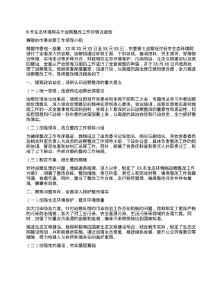 X市生态环境局关于巡察整改工作的情况报告.docx