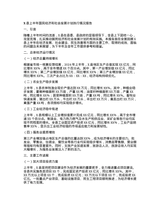 X县上半年国民经济和社会发展计划执行情况报告.docx