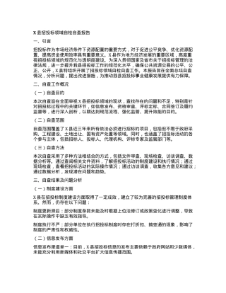X县招投标领域自检自查报告.docx