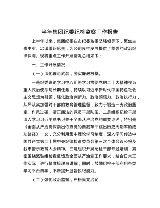 半年集团纪委纪检监察工作报告.docx