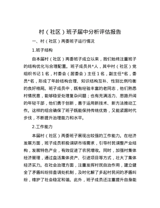 村（社区）班子届中分析评估报告.docx