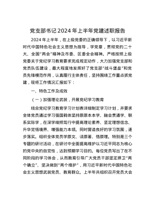 党支部书记2024年上半年党建述职报告.docx