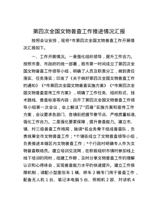 第四次全国文物普查工作推进情况汇报.docx