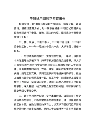 干部试用期转正考察报告.docx