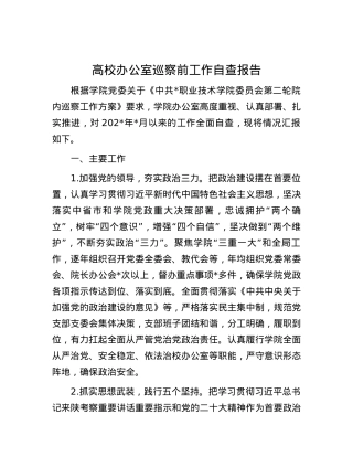 高校办公室巡察前工作自查报告.docx