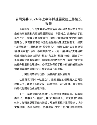 公司党委2024年上半年抓基层党建工作情况报告.docx