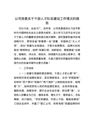 公司党委关于干部人才队伍建设工作情况的报告.docx