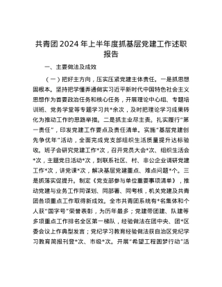 共青团2024年上半年度抓基层党建工作述职报告.docx