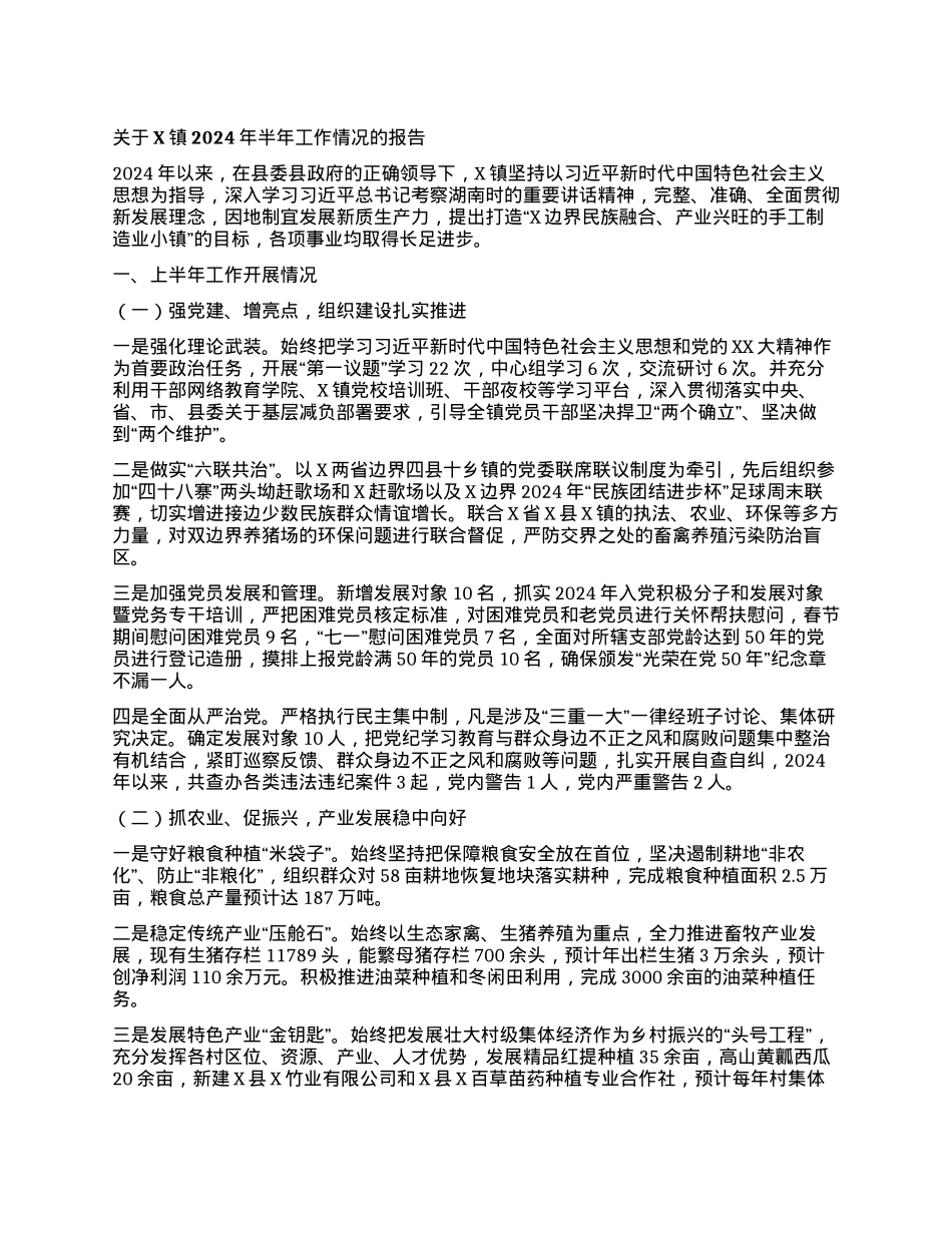 关于X镇2024年半年工作情况的报告.docx_第1页