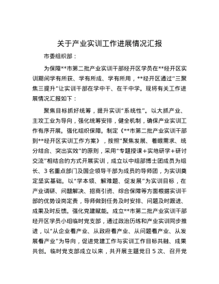 关于产业实训工作进展情况汇报.docx