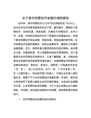 关于某市民营经济发展的调研报告.docx