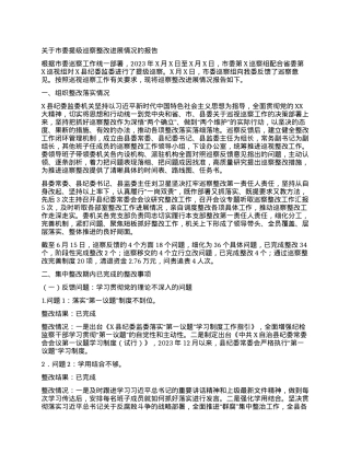 关于市委提级巡察整改进展情况的报告.docx