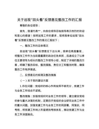 关于巡视“回头看”反馈意见整改工作的汇报.docx