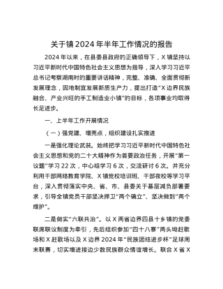 关于镇2024年半年工作情况的报告.docx