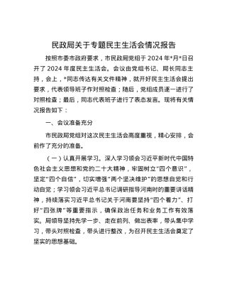 民政局关于专题民主生活会情况报告.docx