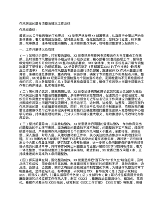 某单位作风整治情况报告.docx