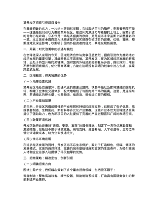 某开发区招商引资项目报告.docx