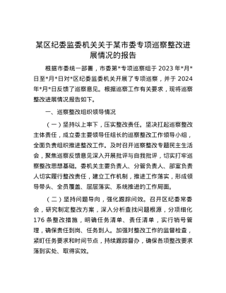 某区纪委监委机关关于某市委专项巡察整改进展情况的报告.docx