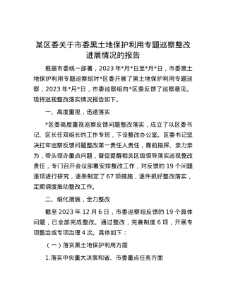 某区委关于市委黑土地保护利用专题巡察整改进展情况的报告.docx