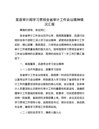 某县审计局学习贯彻全省审计工作会议精神情况汇报.docx
