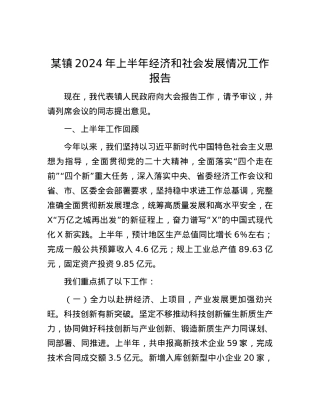 某镇2024年上半年经济和社会发展情况工作报告.docx