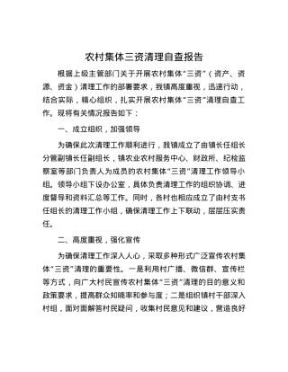 农村集体三资清理自查报告.docx