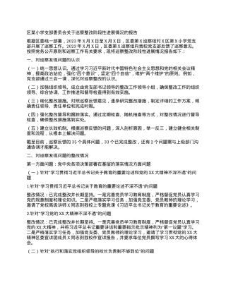 区某小学支部委员会关于巡察整改阶段性进展情况的报告.docx