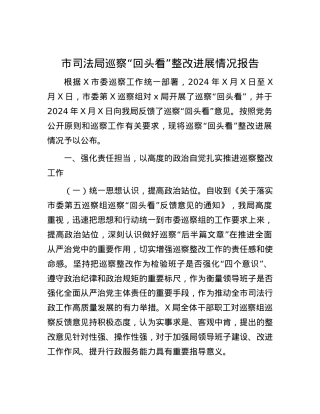 市司法局巡察“回头看”整改进展情况报告.docx