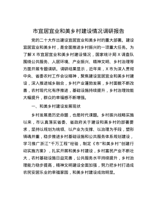 市宜居宜业和美乡村建设情况调研报告.docx