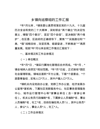 乡镇向巡察组的工作汇报.docx