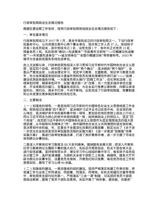 行政审批局政治生态情况报告.docx