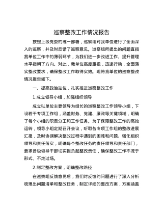 巡察整改工作情况报告.docx